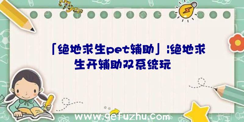 「绝地求生pet辅助」|绝地求生开辅助双系统玩